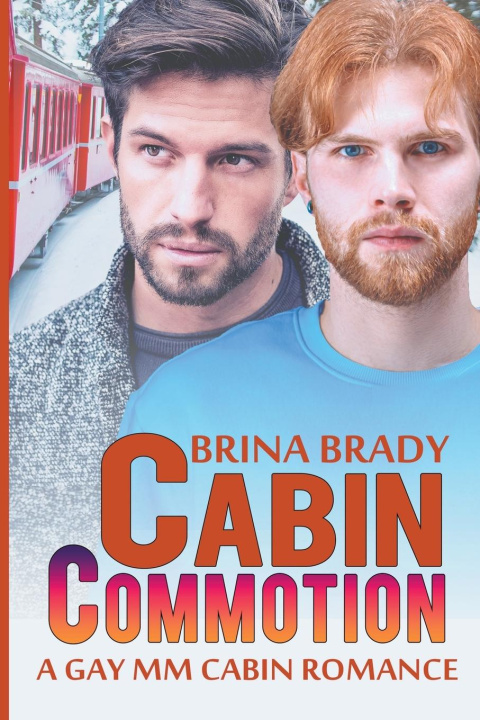 Book Cabin Commotion Brina Brady