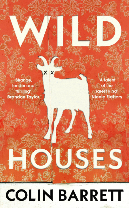 Книга Wild Houses Colin Barrett