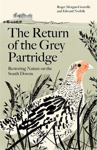 Knjiga Return of the Grey Partridge Morgan-Grenville Roger Morgan-Grenville