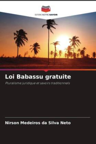 Knjiga Loi Babassu gratuite Nirson Medeiros da Silva Neto