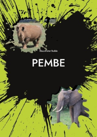 Boek Pembe Klaus-Dieter Budde
