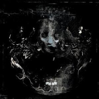 Audio  Anamorphosis (Ltd. CD) 