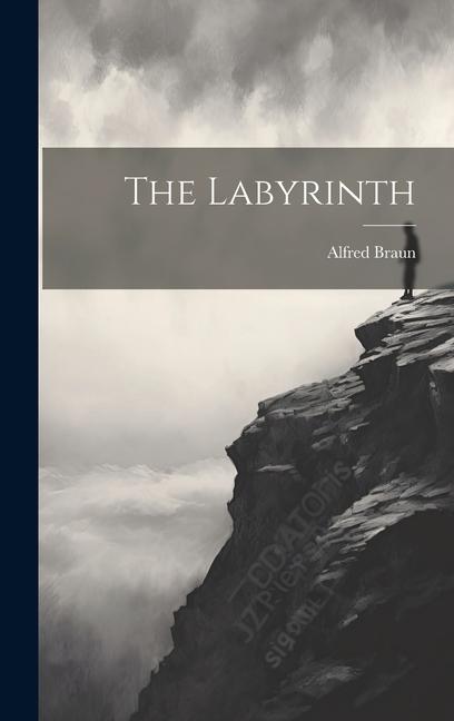 Könyv The Labyrinth Alfred Braun