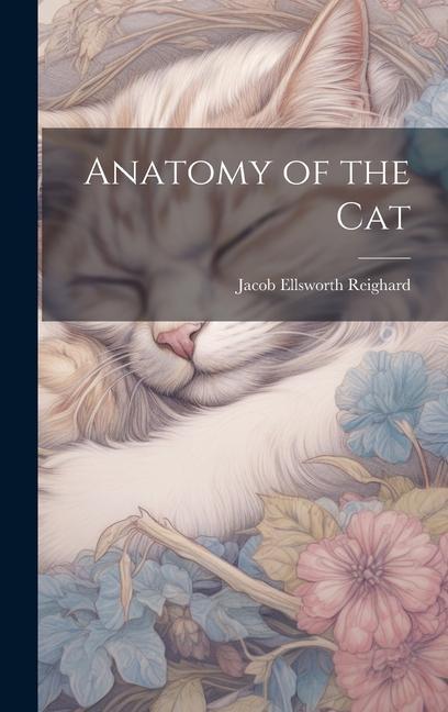 Książka Anatomy of the Cat 