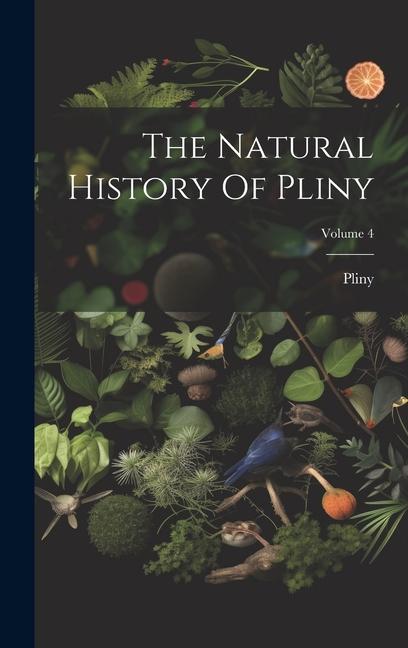 Knjiga The Natural History Of Pliny; Volume 4 Pliny (the Elder.)