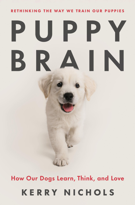 Kniha Puppy Brain: Inside the Psychology of How Dogs Learn, Grow, and Love Randi Kramer