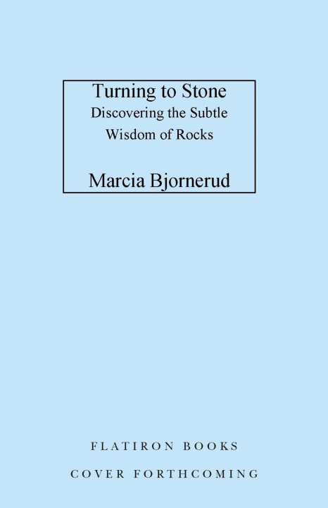 Libro Turning to Stone: Discovering the Subtle Wisdom of Rocks BJORNERUD MARCIA