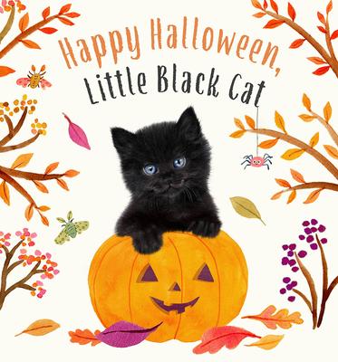 Książka Happy Halloween, Little Black Cat Bec Winnel