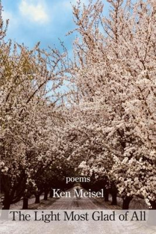 Knjiga The Light Most Glad of All Ken Meisel