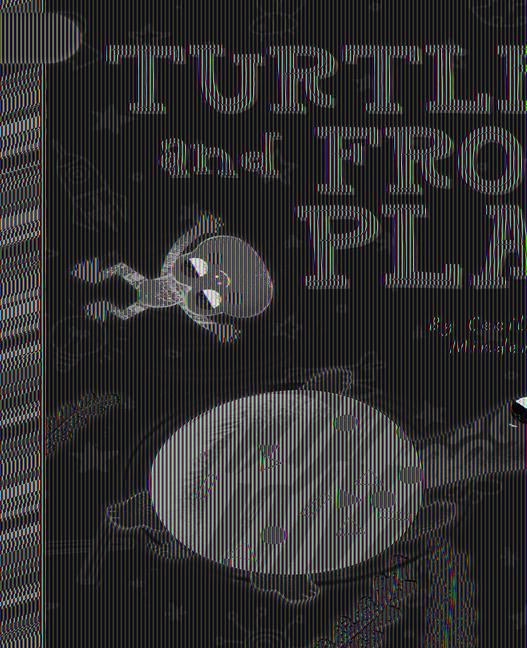Book Turtle and Frog Play Steph Hinton