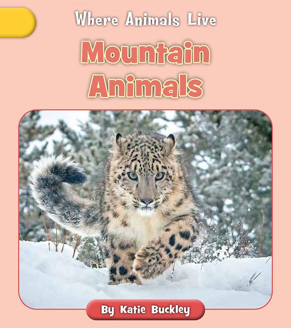 Könyv Mountain Animals 