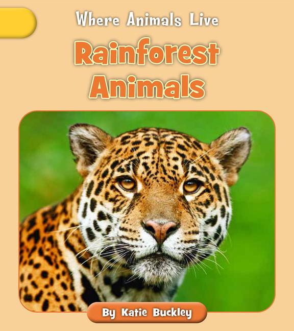 Buch Rainforest Animals Katie Buckley