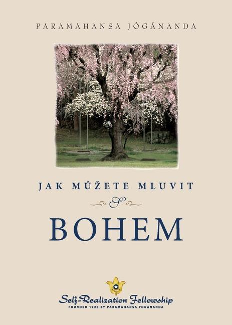 Книга Jak m&#367;zete mluvit s Bohem (How You Can Talk With God--Czech) 