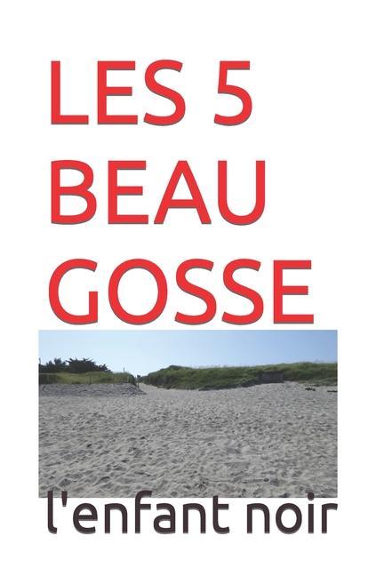 Knjiga Les 5 Beau Gosse l'enfant noir