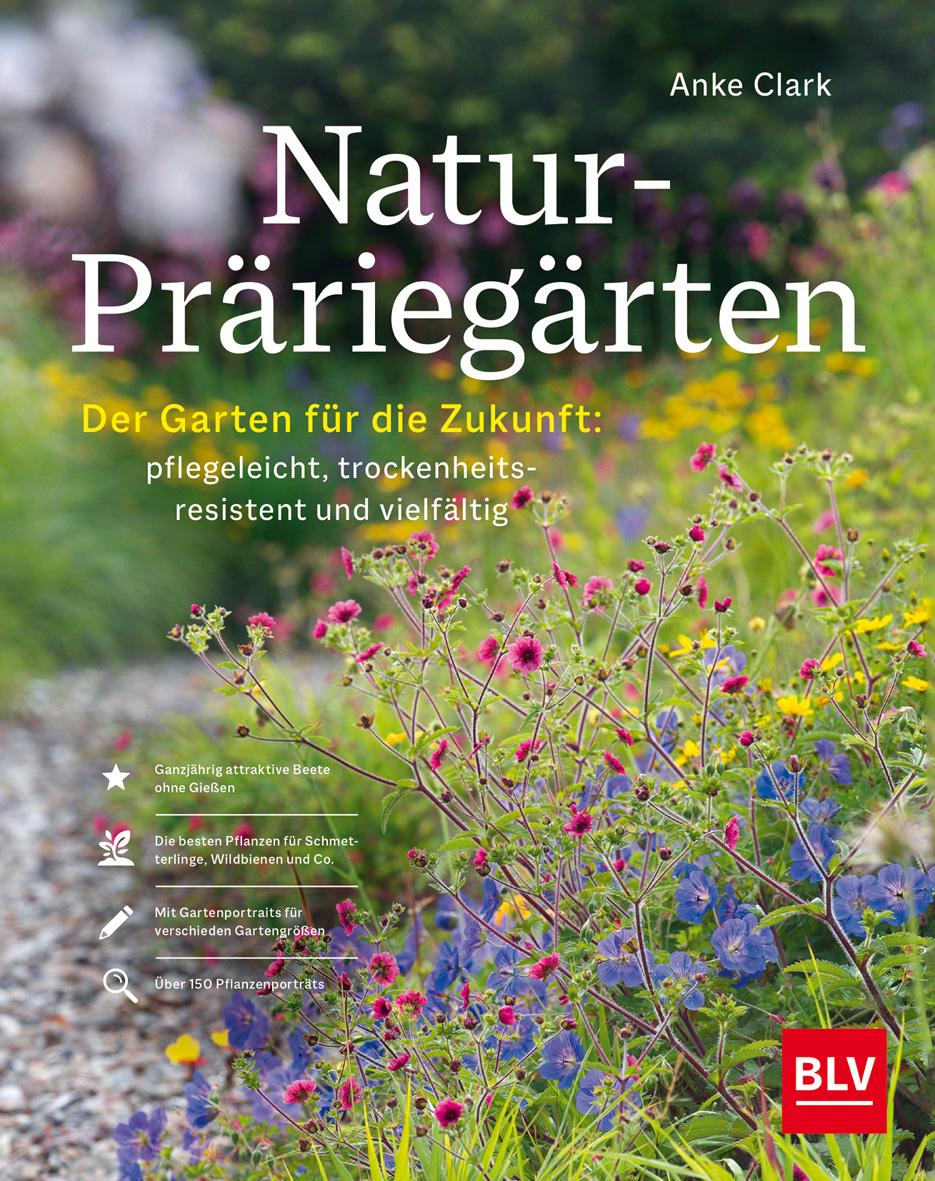 Kniha Natur-Präriegärten 