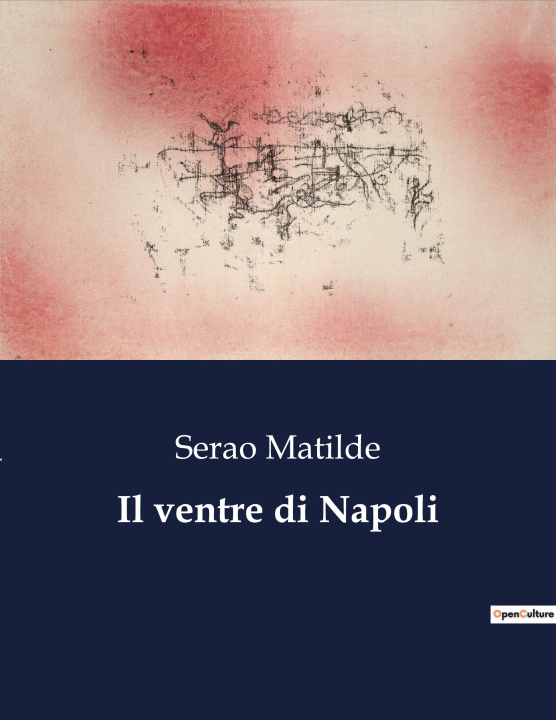 Könyv Il ventre di Napoli 