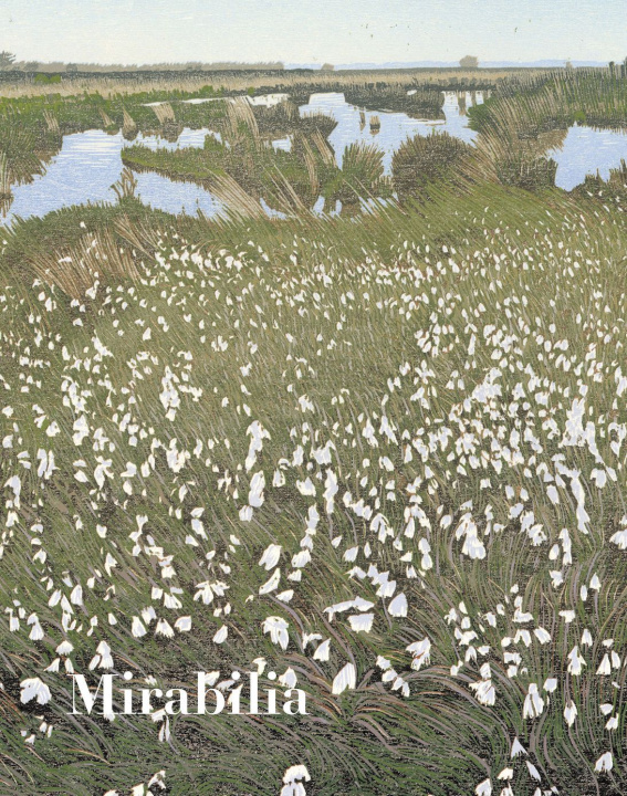 Knjiga Mirabilia n°18 :  L'Espérance  - Ete 2023 