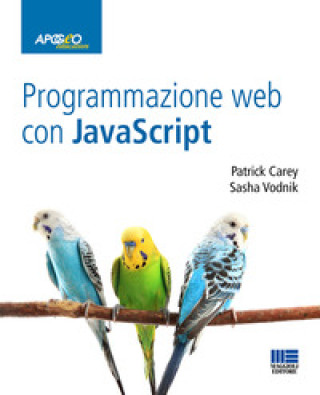 Knjiga Programmazione web con Javascript Patrick Carey