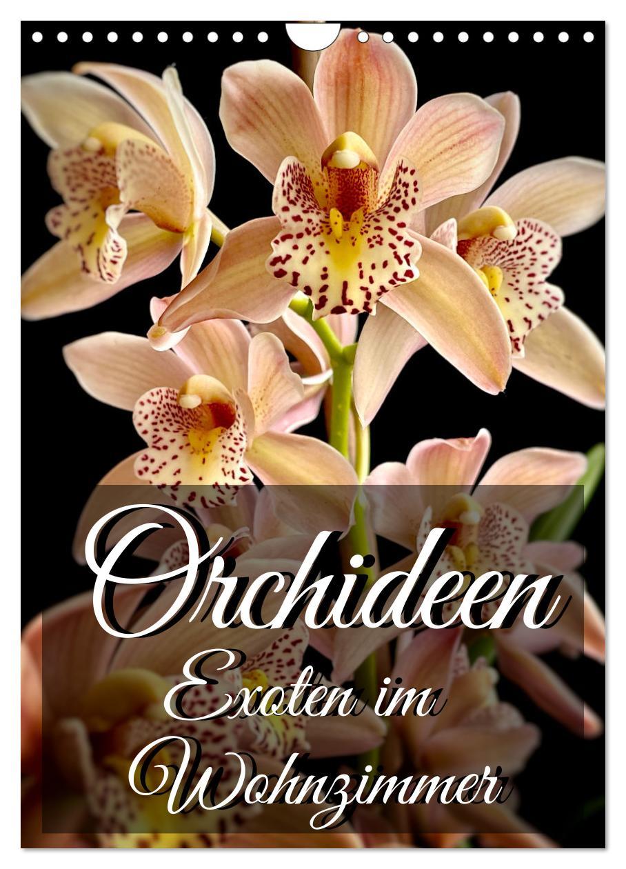 Naptár/Határidőnapló Orchideen - Exoten im Wohnzimmer (Wandkalender 2024 DIN A4 hoch), CALVENDO Monatskalender Anita Will