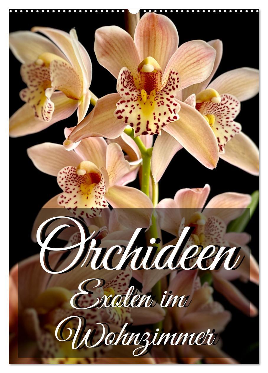 Calendar / Agendă Orchideen - Exoten im Wohnzimmer (Wandkalender 2024 DIN A2 hoch), CALVENDO Monatskalender Anita Will