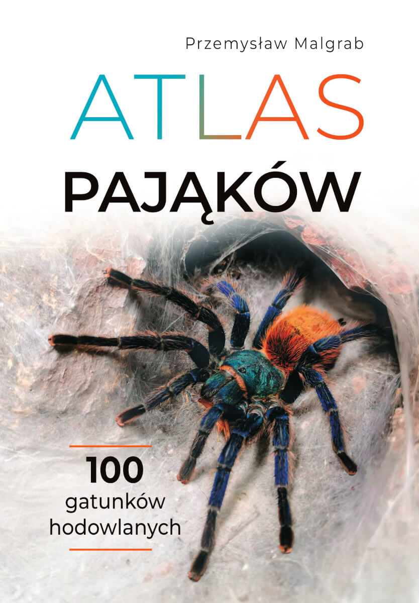 Kniha Atlas pająków Przemysław Malgrab