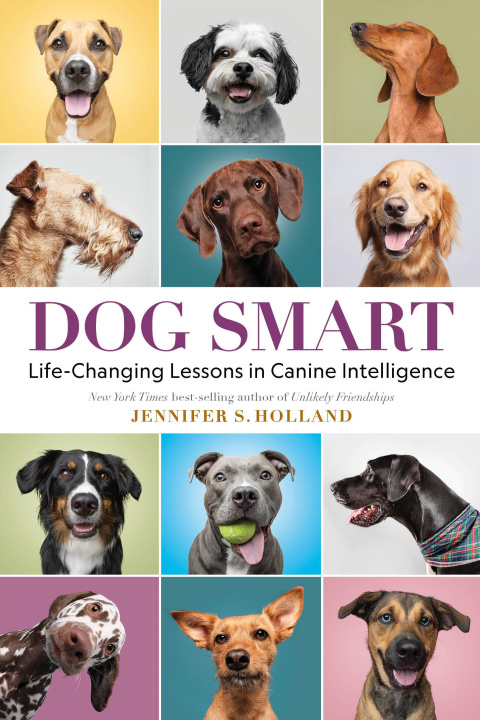 Boek DOG SMART HOLLAND JENNIFER S