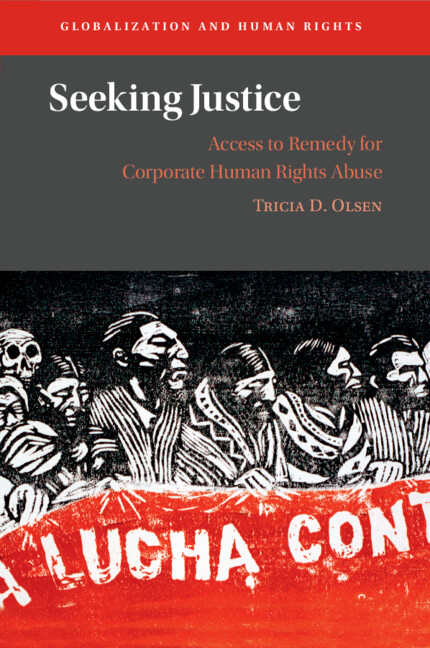Knjiga Seeking Justice Tricia D. Olsen