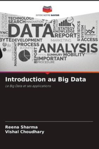 Knjiga Introduction au Big Data Reena Sharma