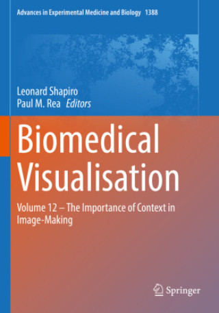 Βιβλίο Biomedical Visualisation Leonard Shapiro