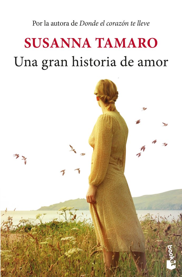 Kniha UNA GRAN HISTORIA DE AMOR SUSANNA TAMARO
