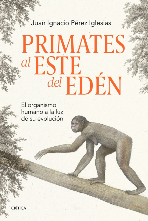 Kniha PRIMATES AL ESTE DEL EDEN JUAN IGNACIO PEREZ