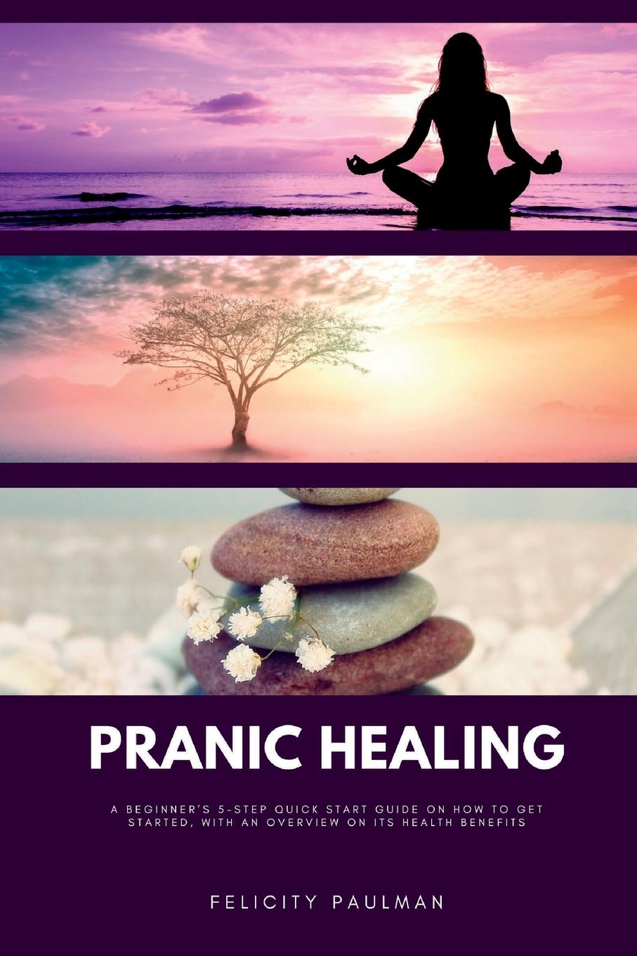 Kniha Pranic Healing 