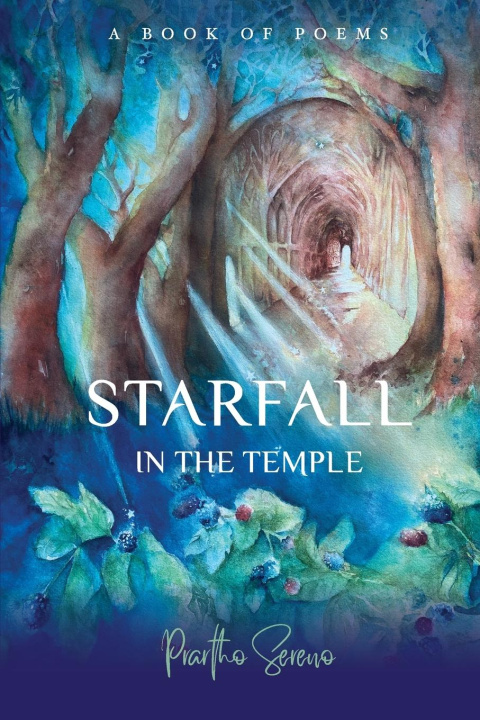 Buch Starfall in the Temple Prartho Sereno