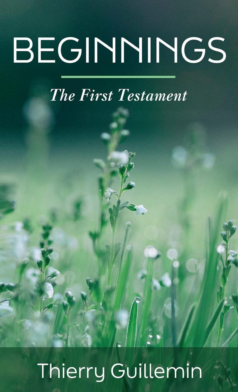 Boek Beginnings Thierry Guillemin