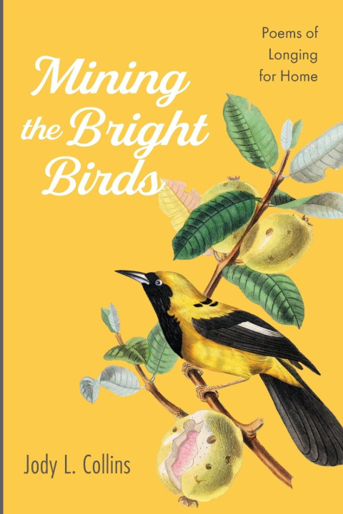 Knjiga Mining the Bright Birds Jody L. Collins