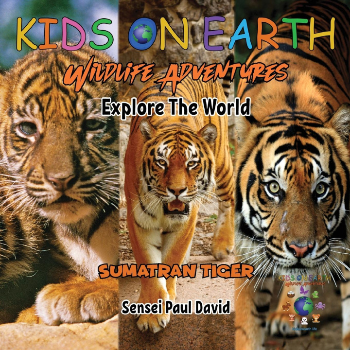 Carte KIDS ON EARTH Wildlife Adventures - Explore The World Sumatran Tiger - Indonesia 