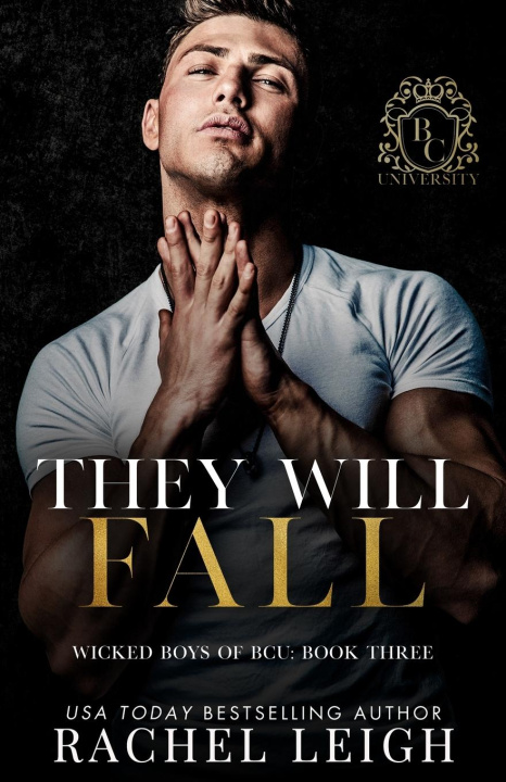 Book They Will Fall Rachel Leigh