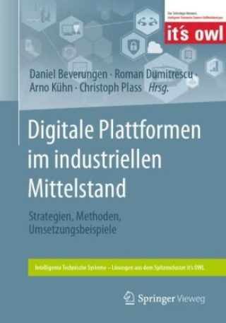 Buch Digital Business Roman Dumitrescu