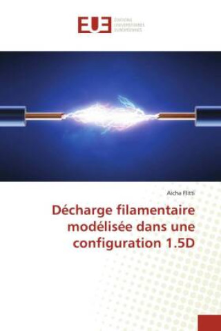 Könyv Décharge filamentaire modélisée dans une configuration 1.5D 