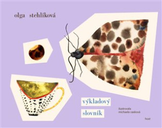 Kniha Výkladový slovník Olga Stehlíková