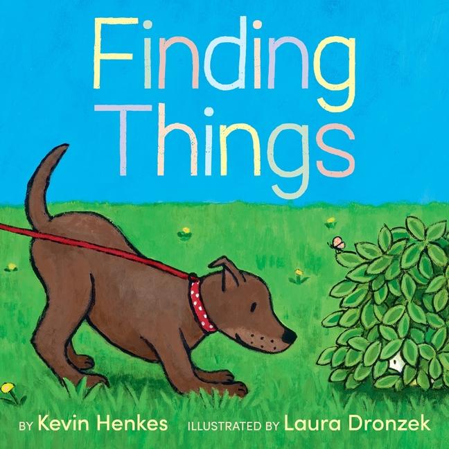 Book Finding Things Laura Dronzek