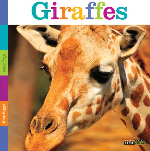 Knjiga Seedlings: Giraffes Riggs