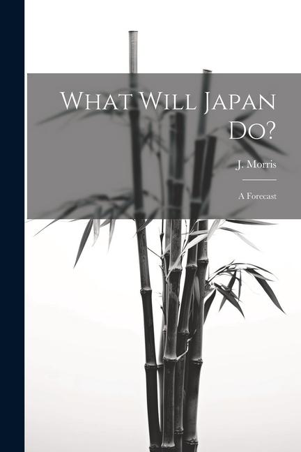 Kniha What Will Japan Do?: A Forecast J. Morris