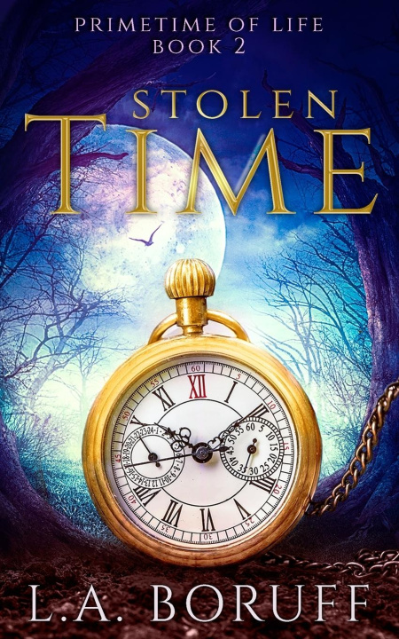 Knjiga Stolen Time L.A. Boruff
