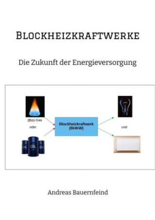 Kniha Blockheizkraftwerke 