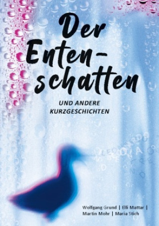 Book Der Entenschatten Elli Mattar