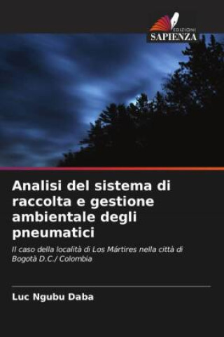 Kniha Analisi del sistema di raccolta e gestione ambientale degli pneumatici 