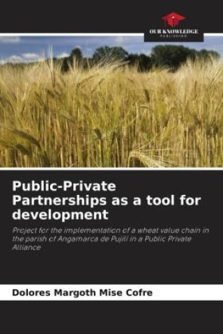 Libro Public-Private Partnerships as a tool for development Dolores Margoth Mise Cofre