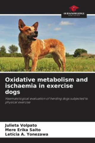 Knjiga Oxidative metabolism and ischaemia in exercise dogs Mere Erika Saito
