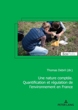 Knjiga Mettre l'environnement en chiffres Thomas Debril